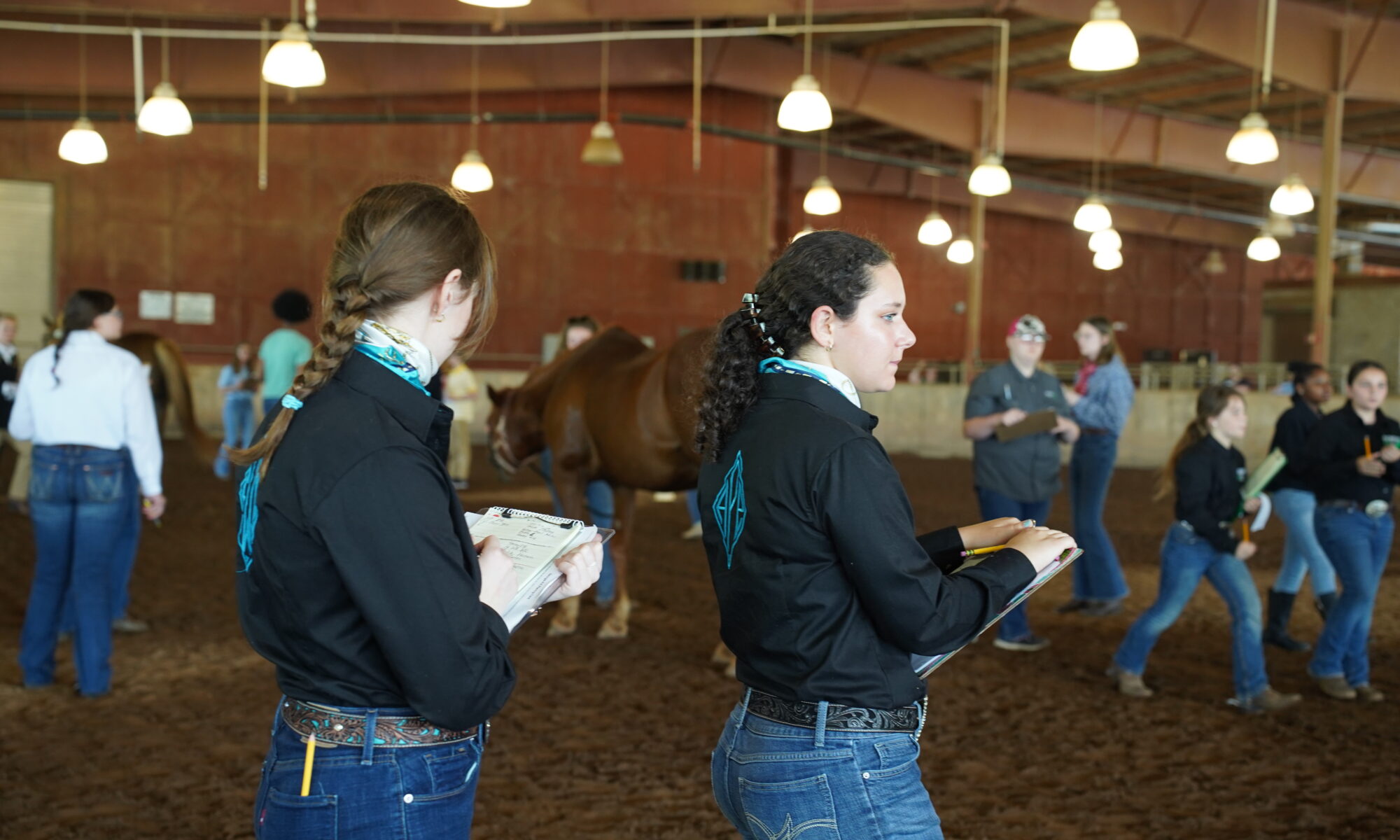 Two female 4-H'ers standing with clipboards in a barn during Horse Judging.