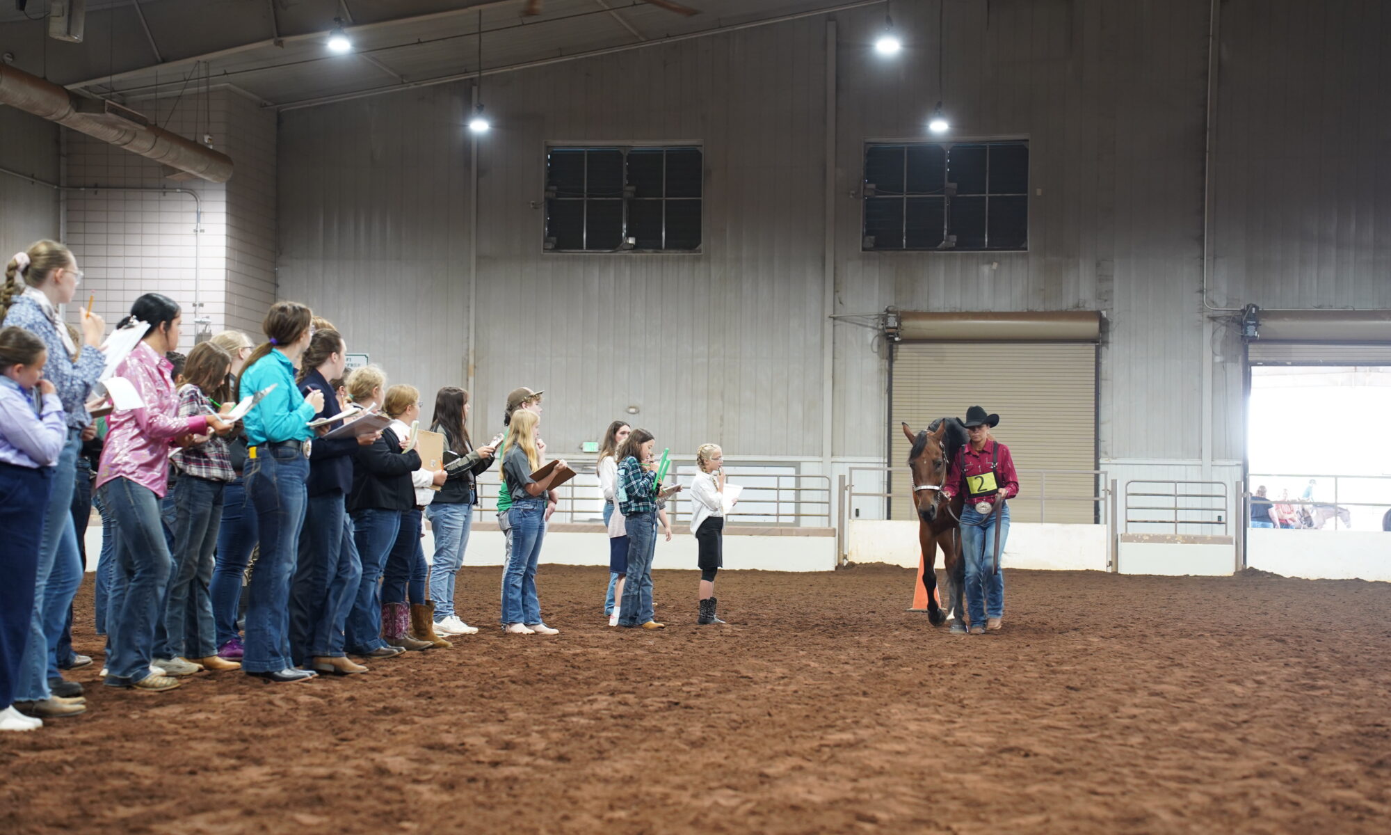 A group of students with clipboards judge a horse being led.