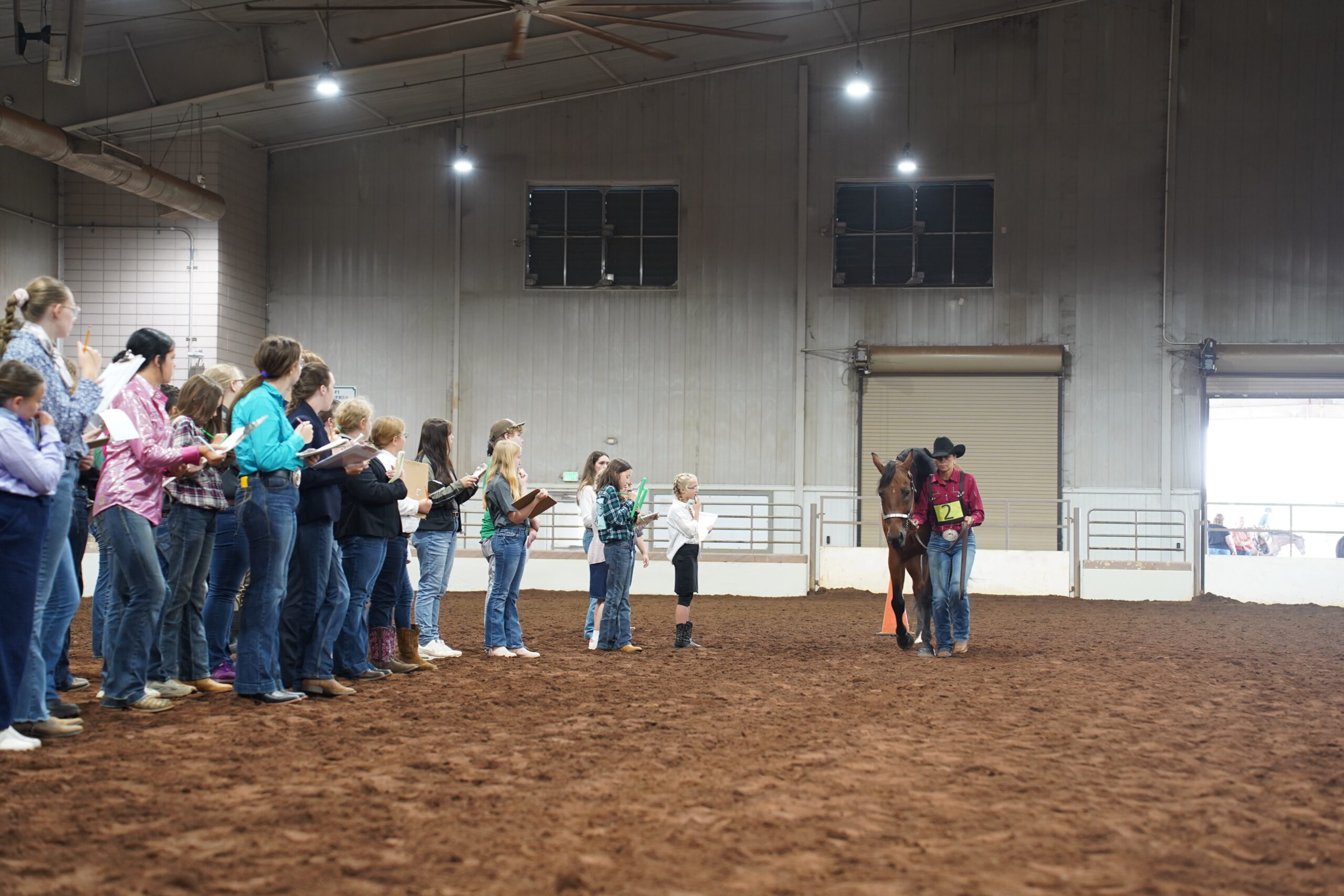 Horse Judging Start Guide - Georgia 4-H