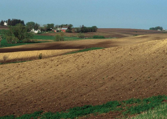 Example of Class 3 land. Steeper slopes with accompanying erosion hazard make this land Class 3. Other soils may be Class 3 because of seasonal wetness. 