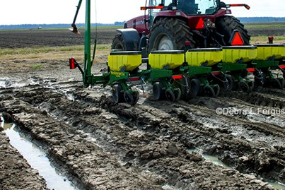 Example of Class 5 land. This land has no erosion hazard. It is wet, however, and is usually difficult to drain.