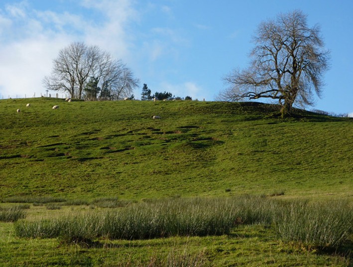 Example of Class 6 land. Steep slopes and a shallow soil create hazards that make it unsuitable for cultivated crops. 