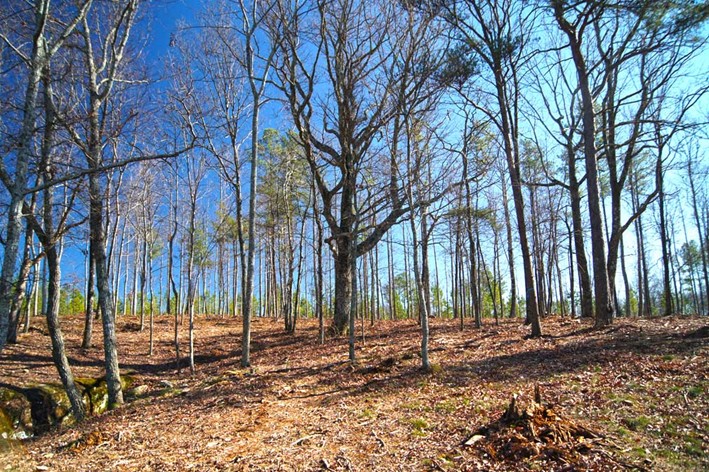 Example of Class 7 land. This land is best used for pastures or forestry. 