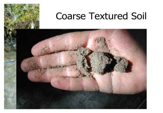 An example of coarse textured soil