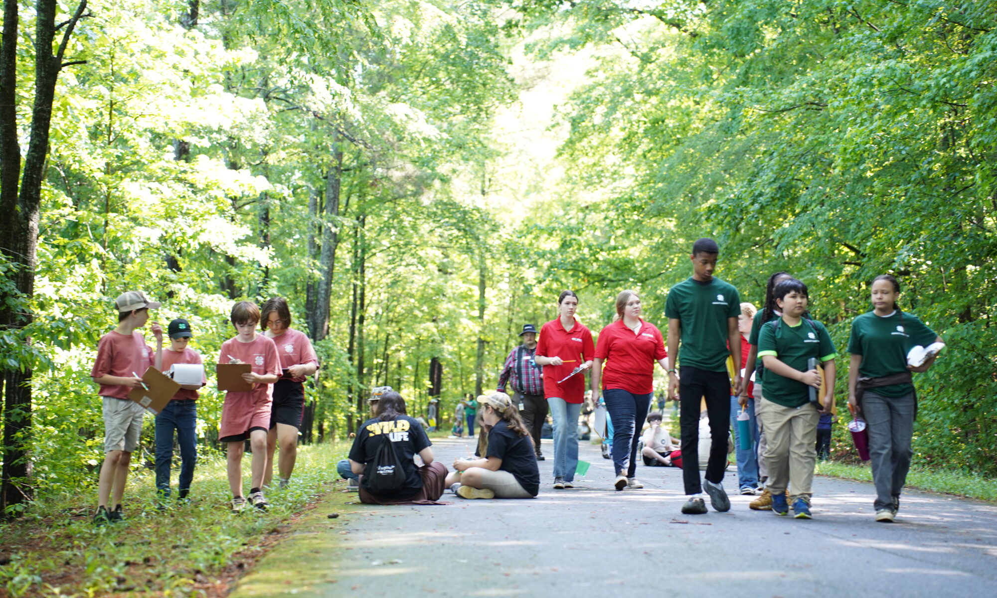 A group of students in the forest at Rock Eagle 4-H Center
