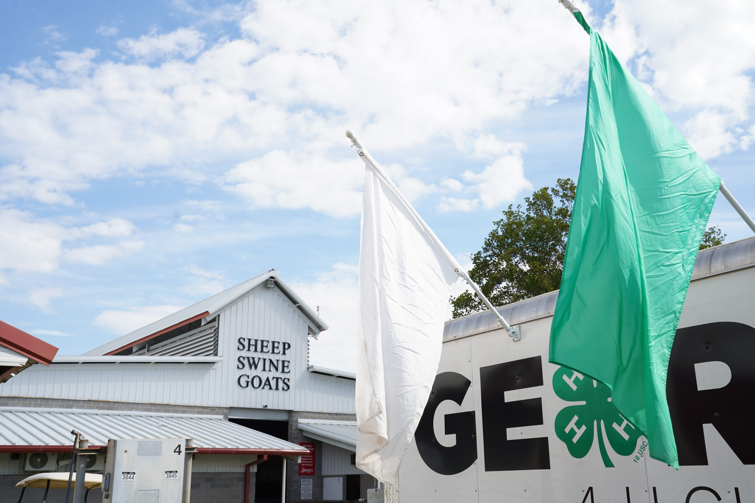 A barn labeled "Sheep Swine and Goats" with green and white 4-H flags in the foreground