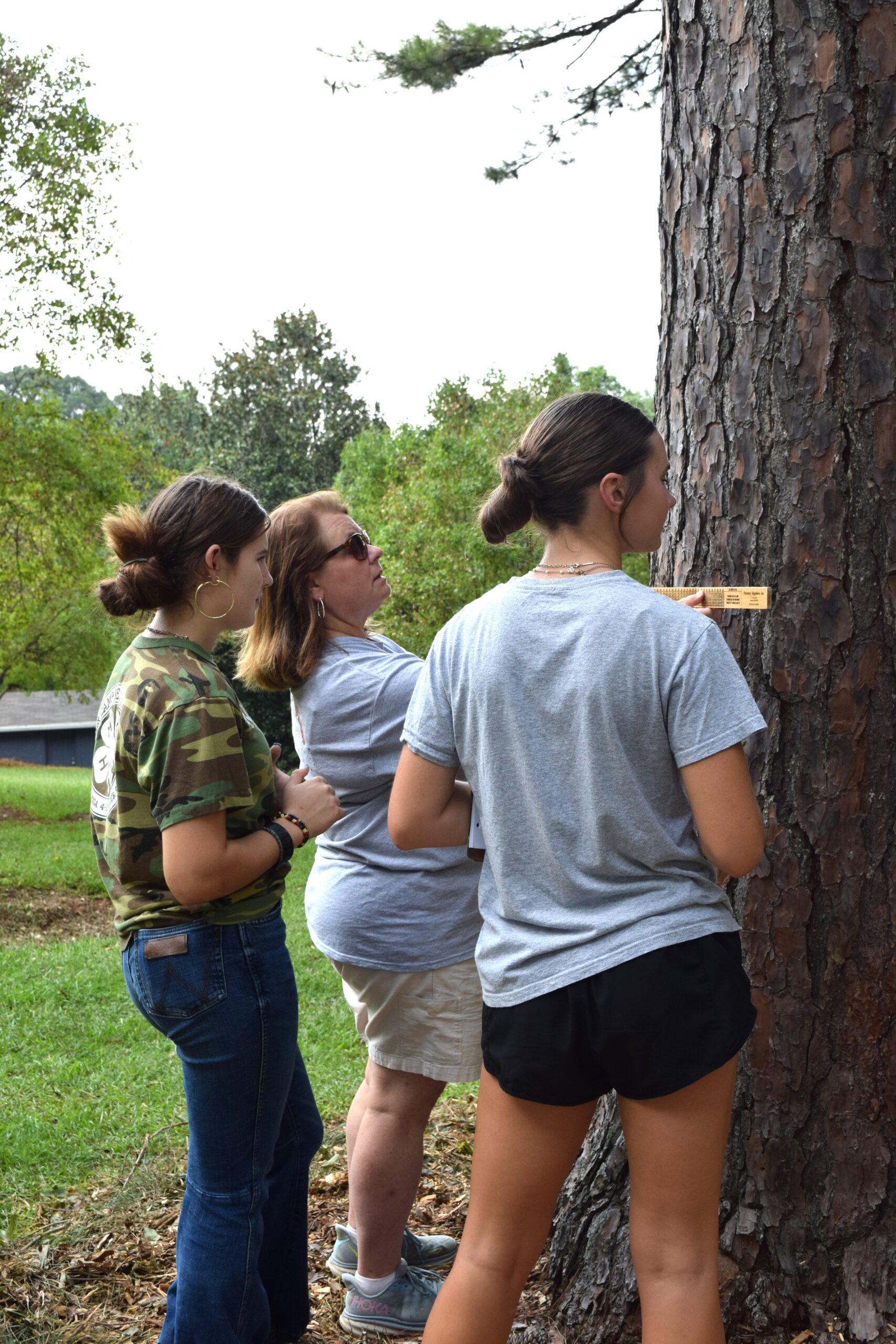 An adult volunteer teaching 4-H students about forestry judging