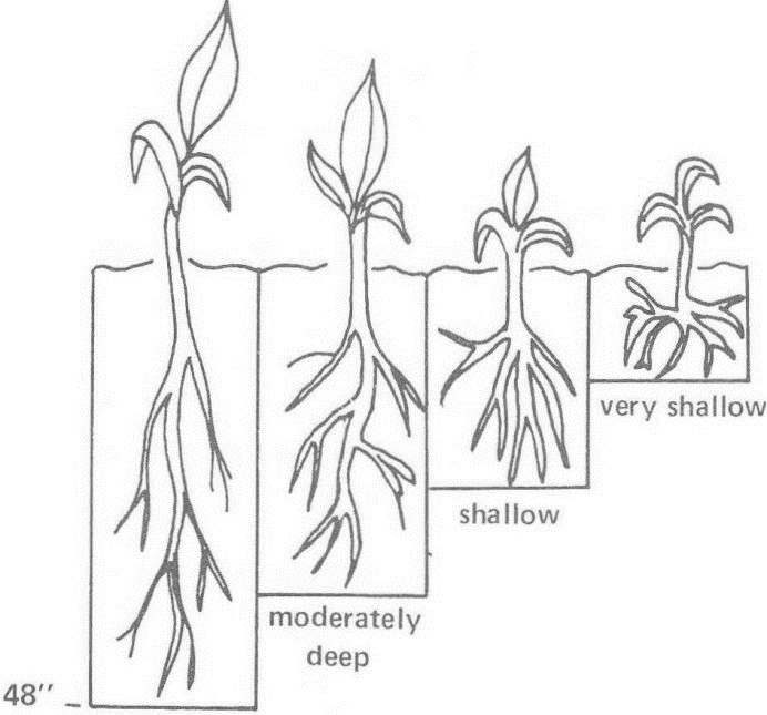 A diagram showing the different depths of topsoil and subsoil