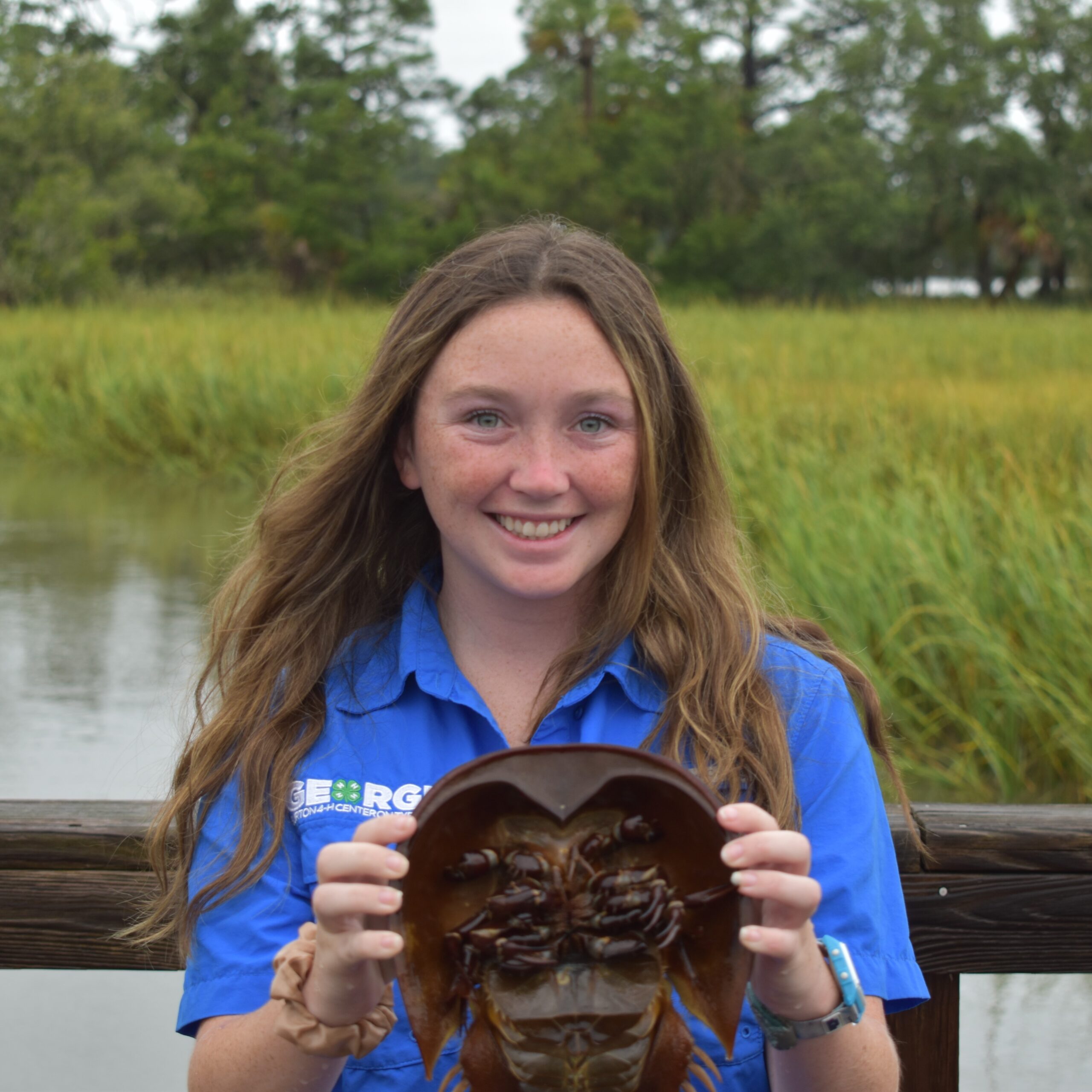 Evelyn Cronise (Cicada)