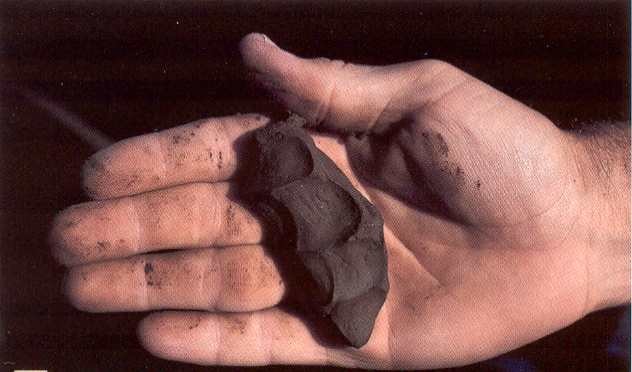 An example of fine textured soil