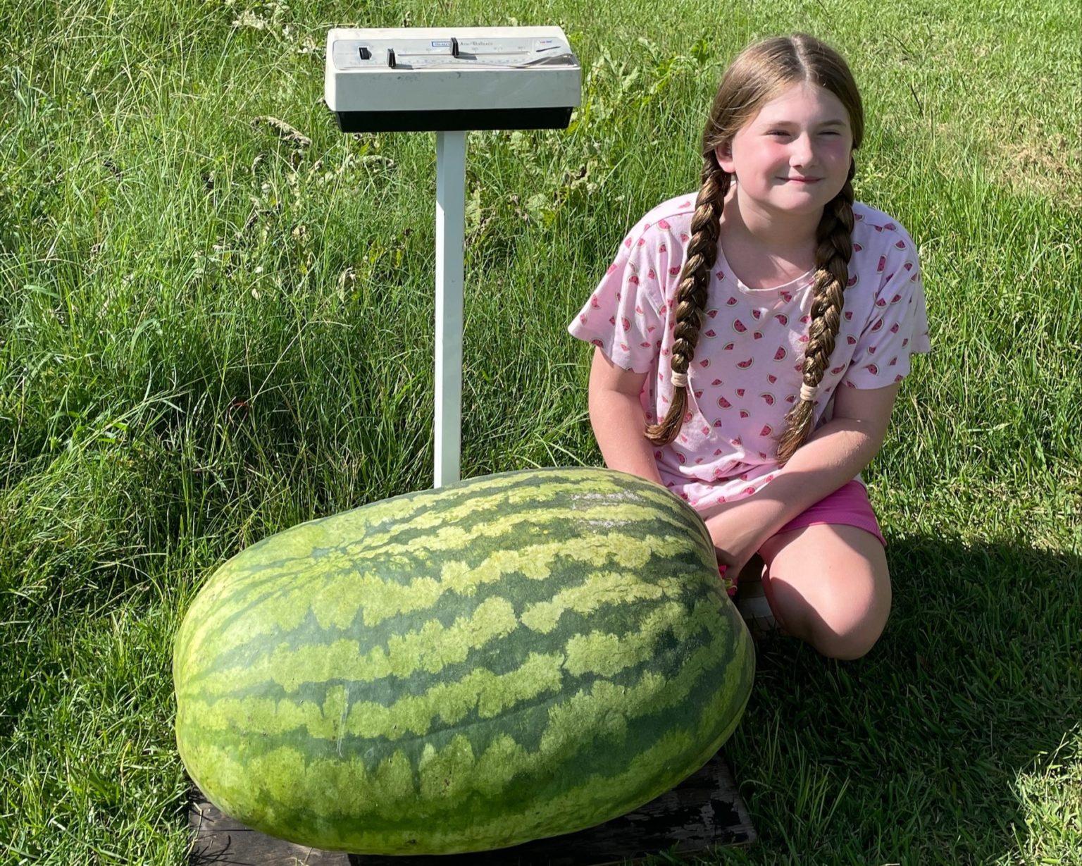 Fourth Grader s 109 pound Watermelon Wins Georgia 4 H Watermelon 