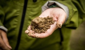 An example of medium textured soil