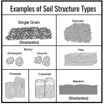 A diagram showcasing the different types of soil structure