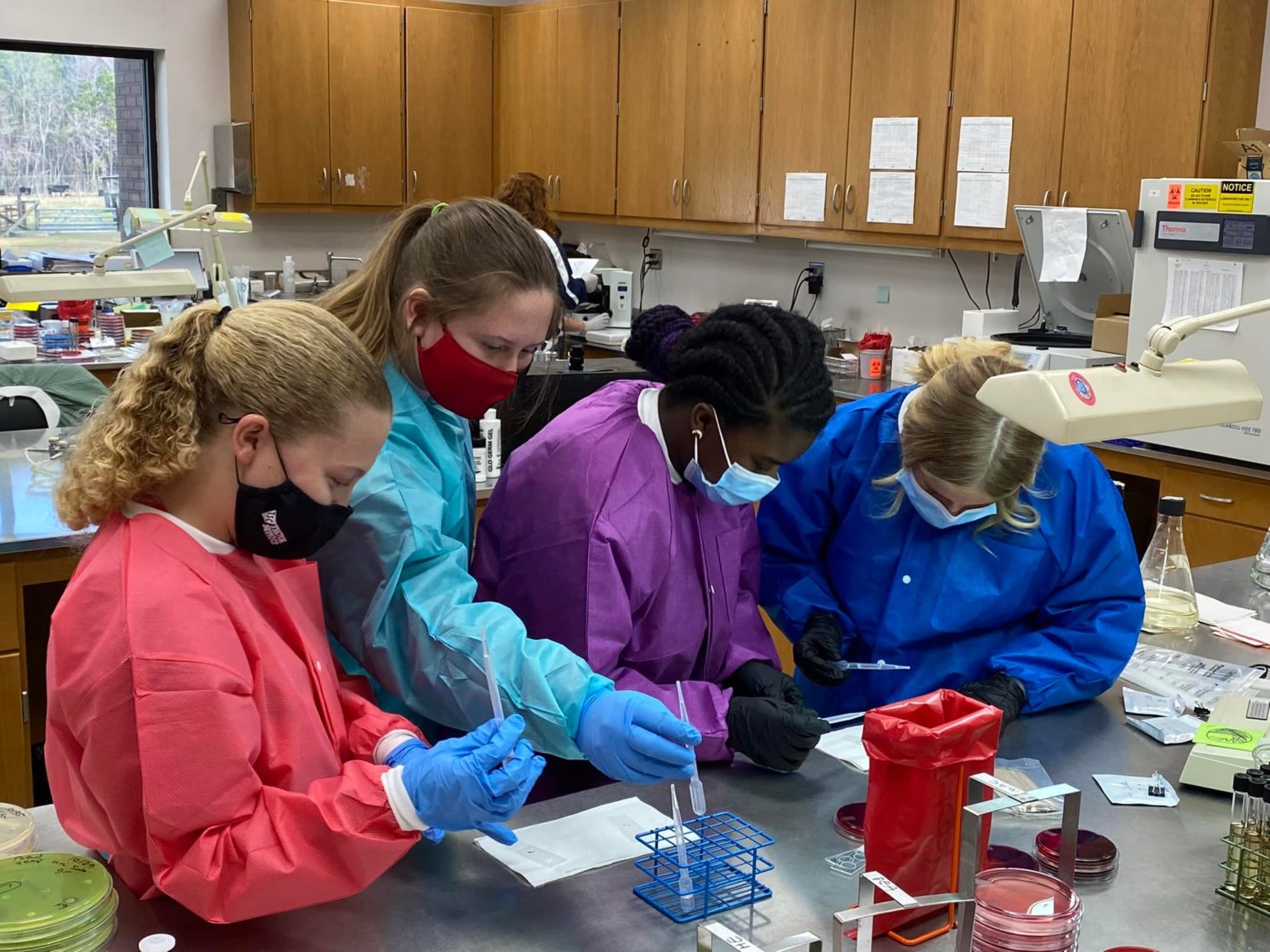Students explore careers in veterinary science during 4H Vet Day at